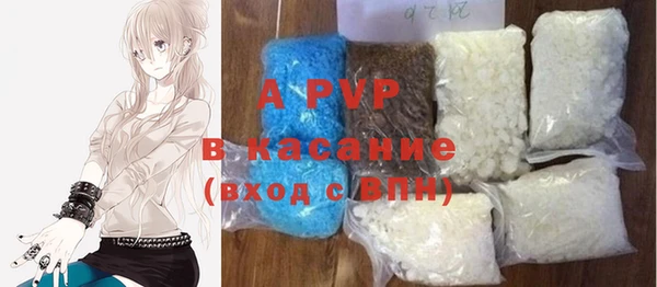 СК Алексин