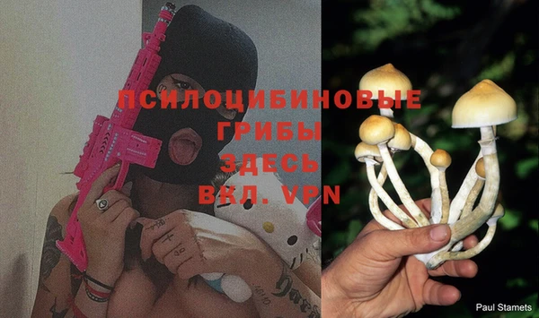 PSILOCYBIN Алзамай