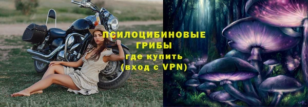 СК Алексин