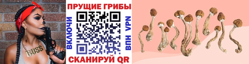 Галлюциногенные грибы Magic Shrooms Котельники