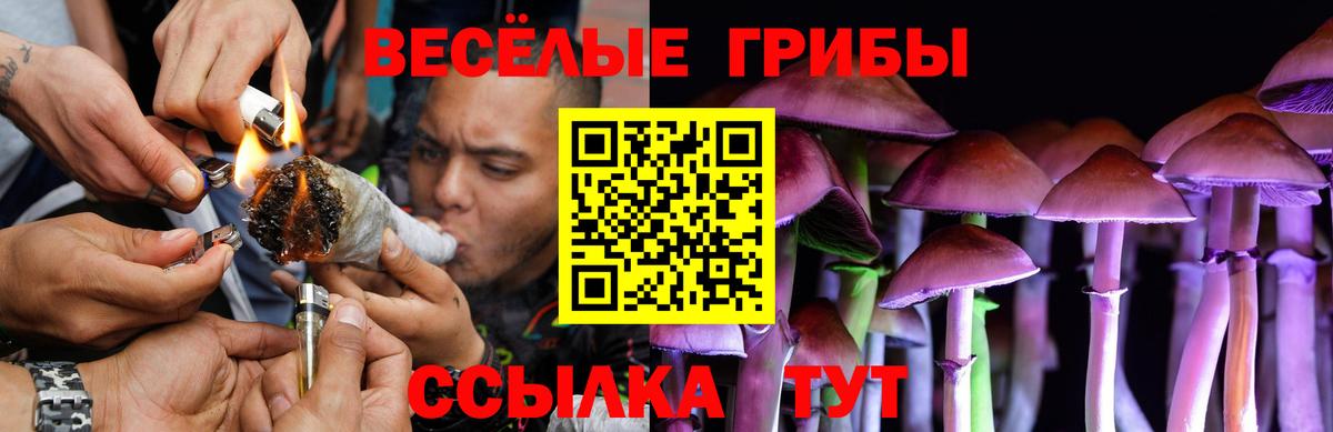 Псилоцибиновые грибы GOLDEN TEACHER  Вход с VPN  Котельники 